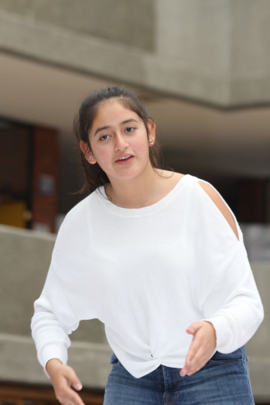 Ir a la Siguiente Foto