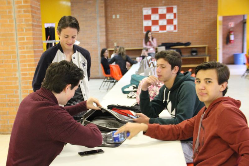 Ir a la Siguiente Foto