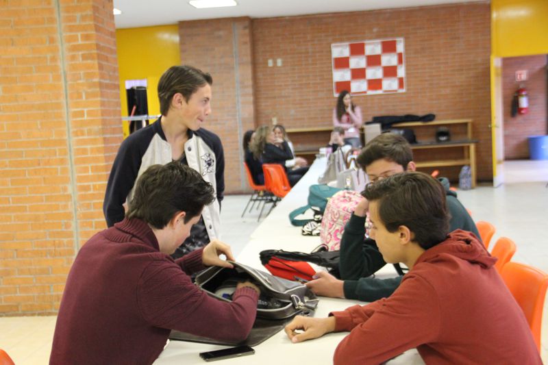 Ir a la Siguiente Foto