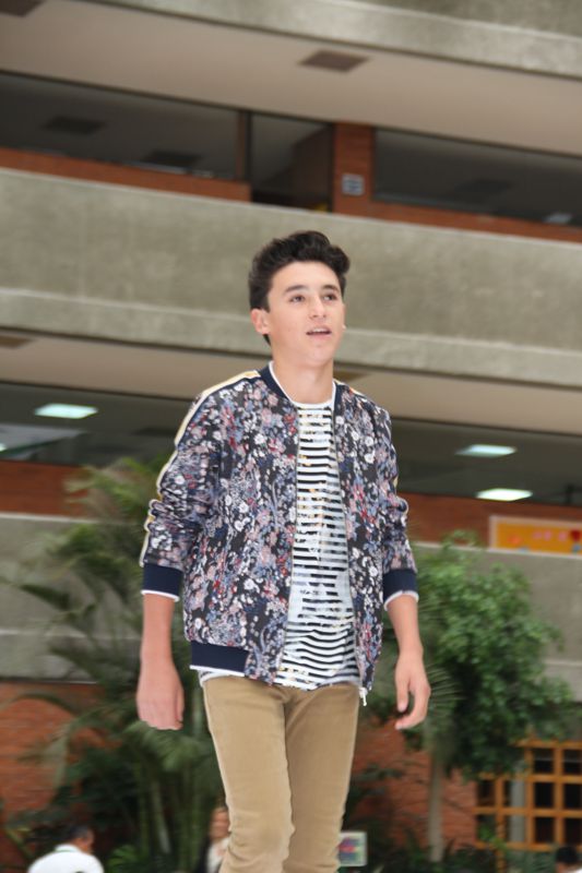 Ir a la Siguiente Foto