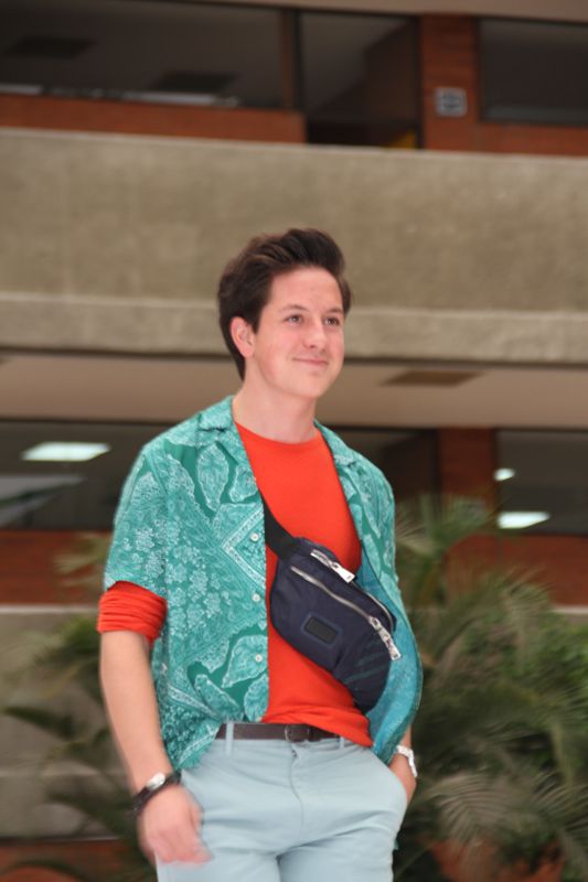 Ir a la Siguiente Foto