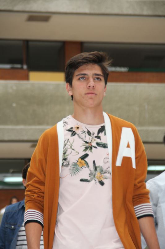 Ir a la Siguiente Foto