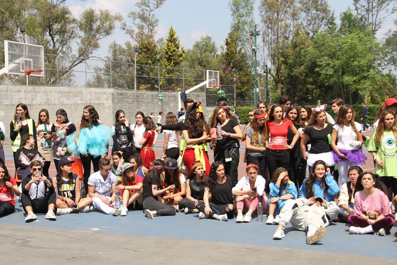 Ir a la Siguiente Foto