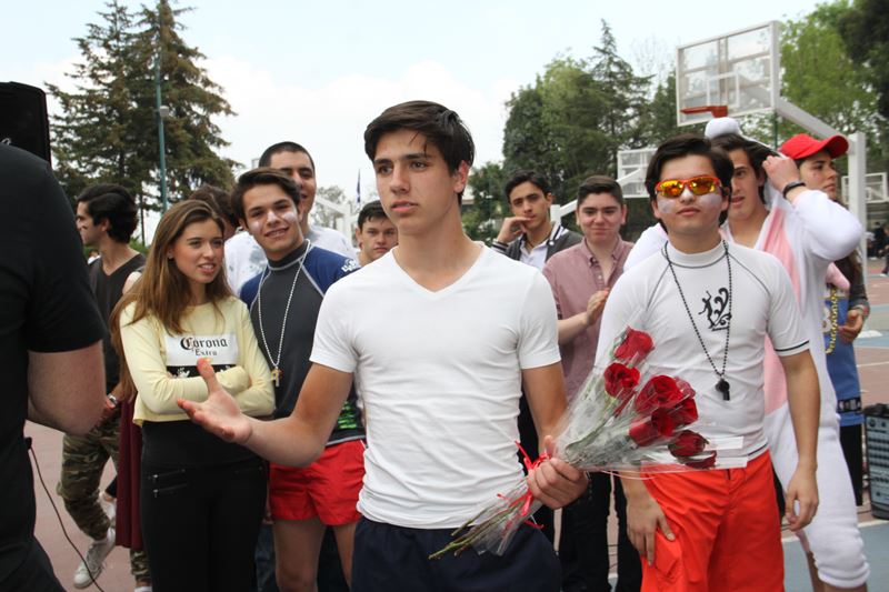 Ir a la Siguiente Foto