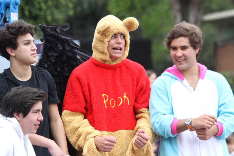 Ir a la Siguiente Foto