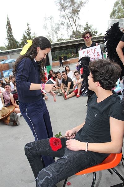 Ir a la Siguiente Foto