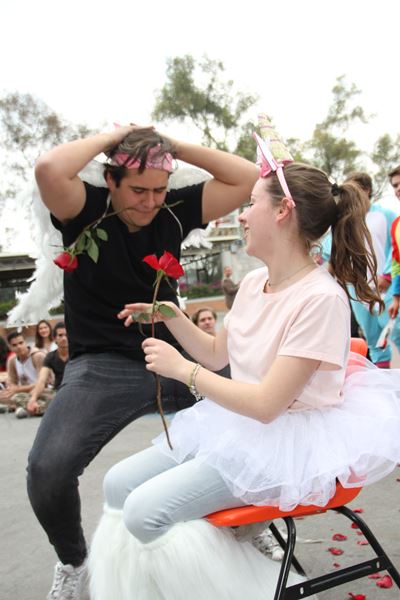 Ir a la Siguiente Foto