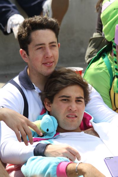 Ir a la Siguiente Foto