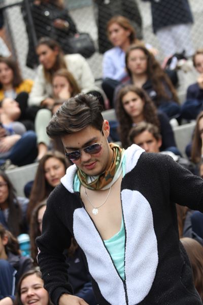 Ir a la Siguiente Foto