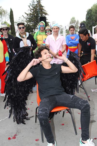 Ir a la Siguiente Foto