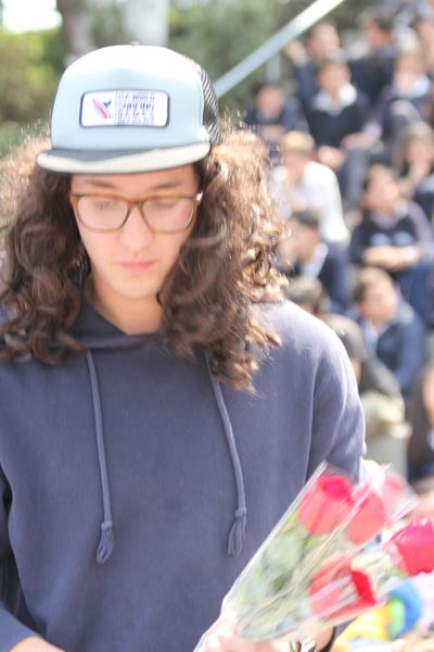 Ir a la Siguiente Foto