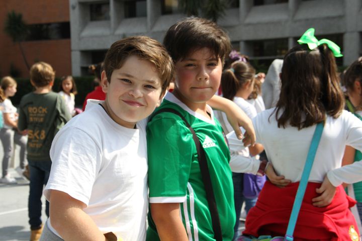 Ir a la Siguiente Foto