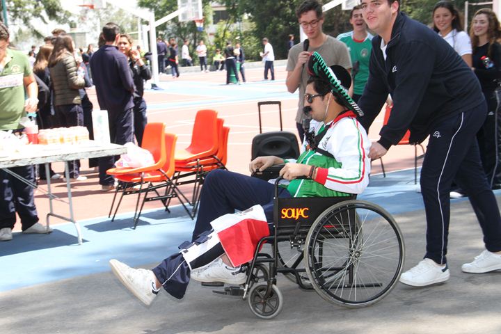 Ir a la Siguiente Foto