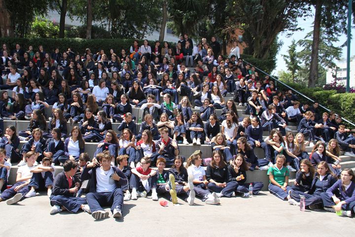 Ir a la Siguiente Foto