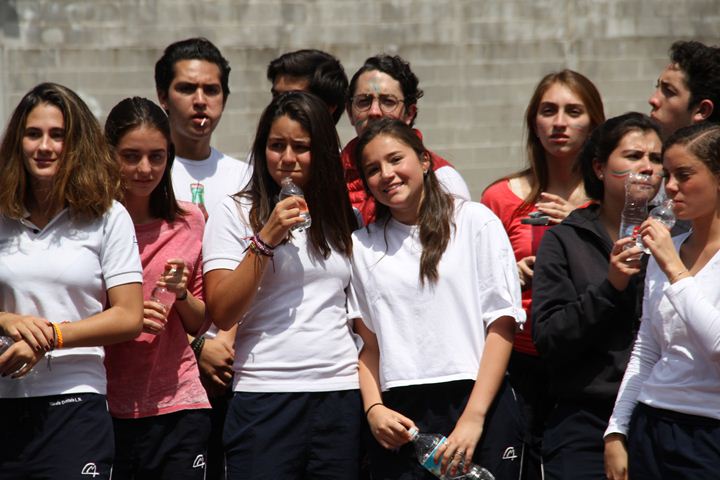 Ir a la Siguiente Foto