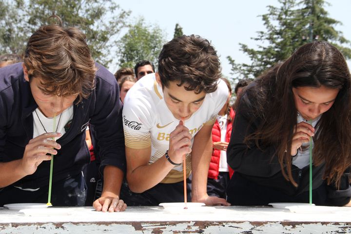 Ir a la Siguiente Foto