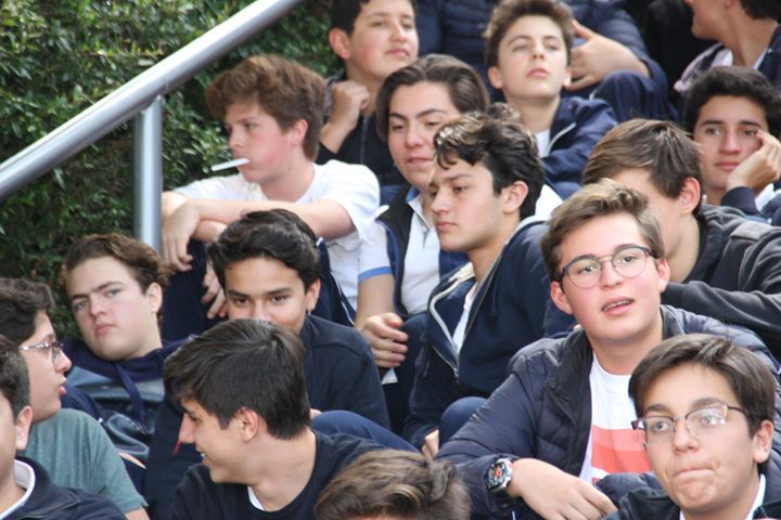 Ir a la Siguiente Foto