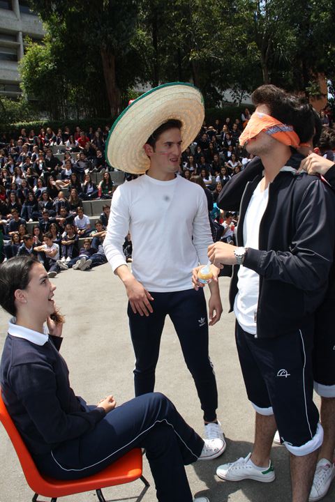 Ir a la Siguiente Foto