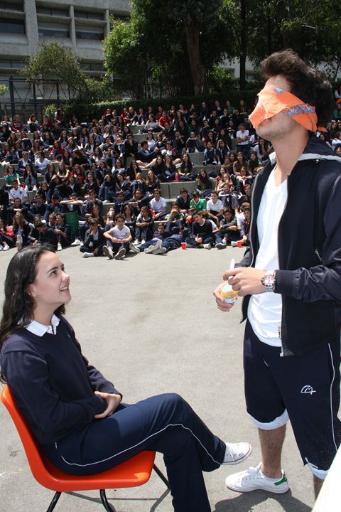 Ir a la Siguiente Foto