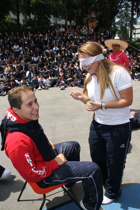 Ir a la Siguiente Foto