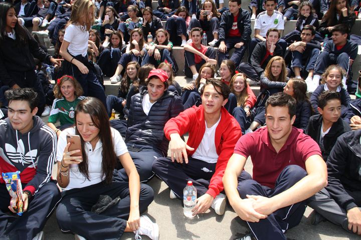Ir a la Siguiente Foto