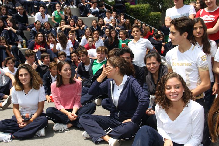 Ir a la Siguiente Foto