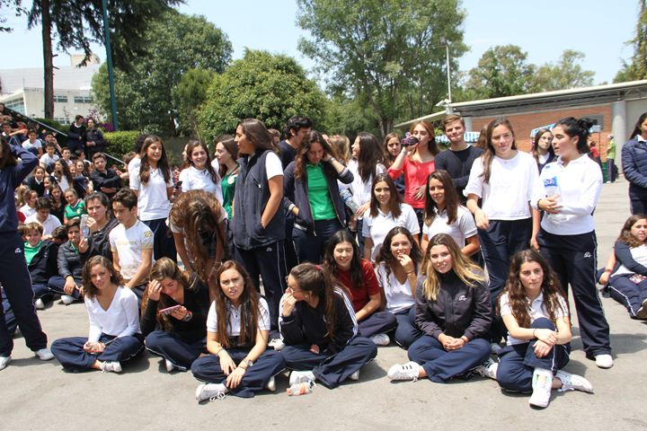 Ir a la Siguiente Foto