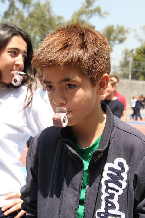 Ir a la Siguiente Foto