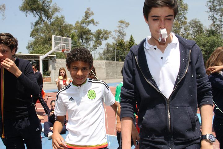 Ir a la Siguiente Foto