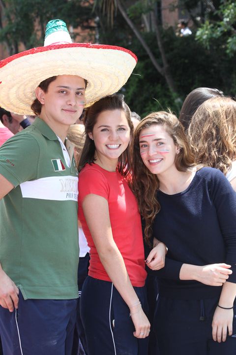 Ir a la Siguiente Foto