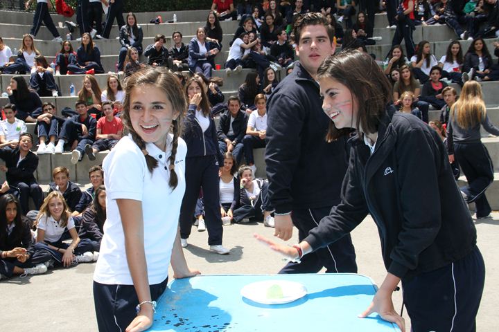 Ir a la Siguiente Foto