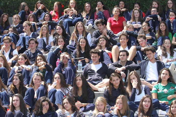 Ir a la Siguiente Foto