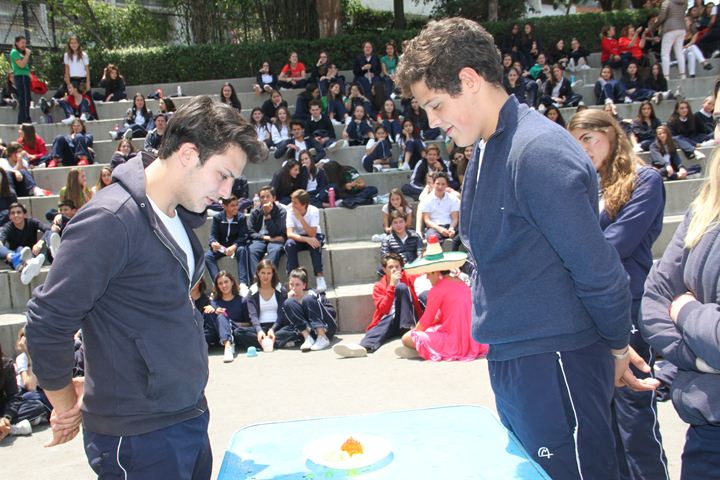 Ir a la Siguiente Foto