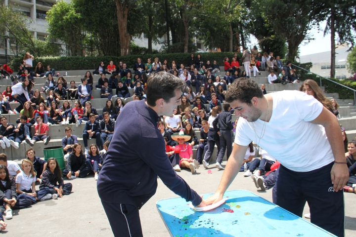 Ir a la Siguiente Foto