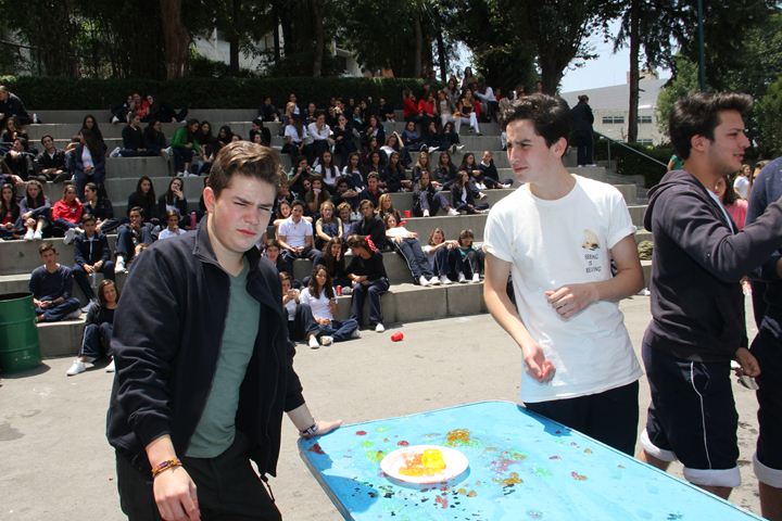 Ir a la Siguiente Foto