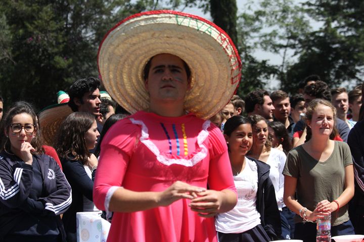 Ir a la Siguiente Foto