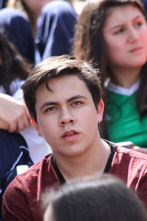 Ir a la Siguiente Foto