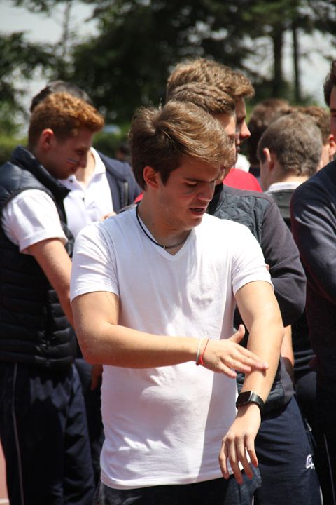 Ir a la Siguiente Foto