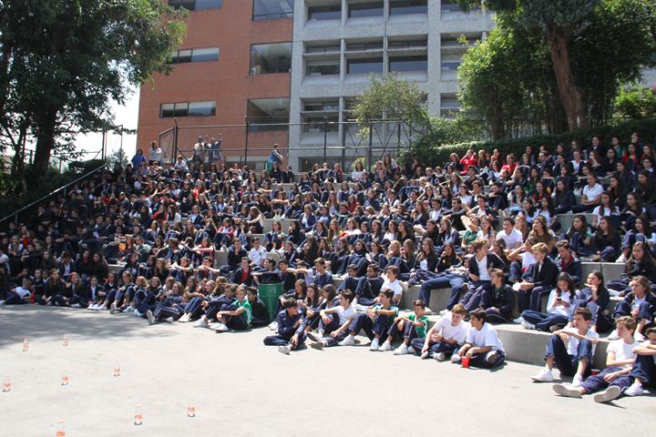 Ir a la Siguiente Foto