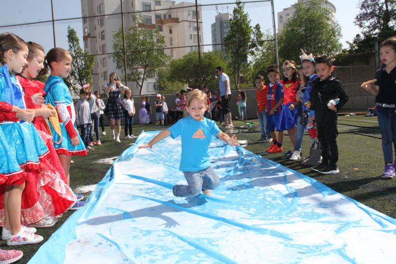 Ir a la Siguiente Foto