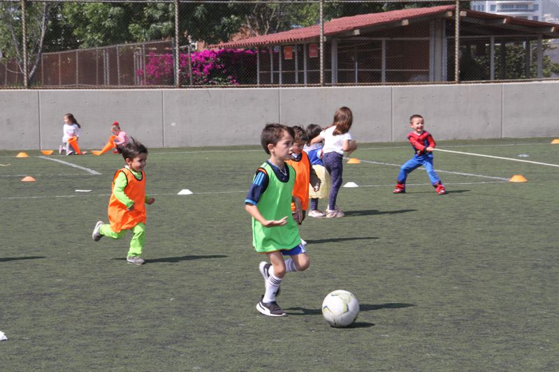 Ir a la Siguiente Foto