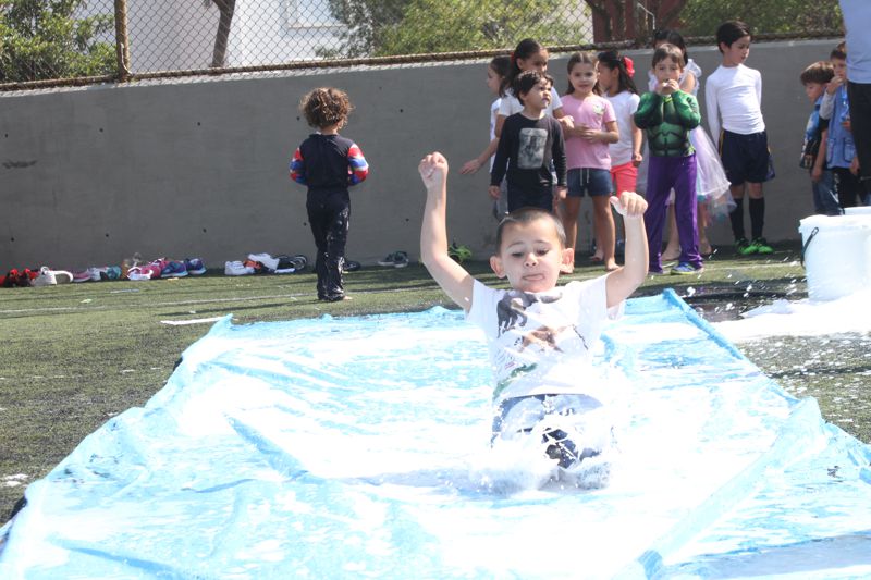 Ir a la Siguiente Foto