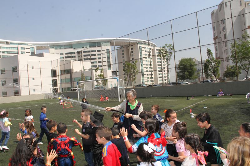 Ir a la Siguiente Foto