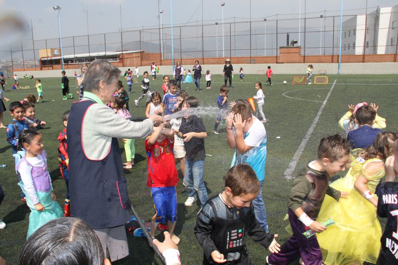 Ir a la Siguiente Foto