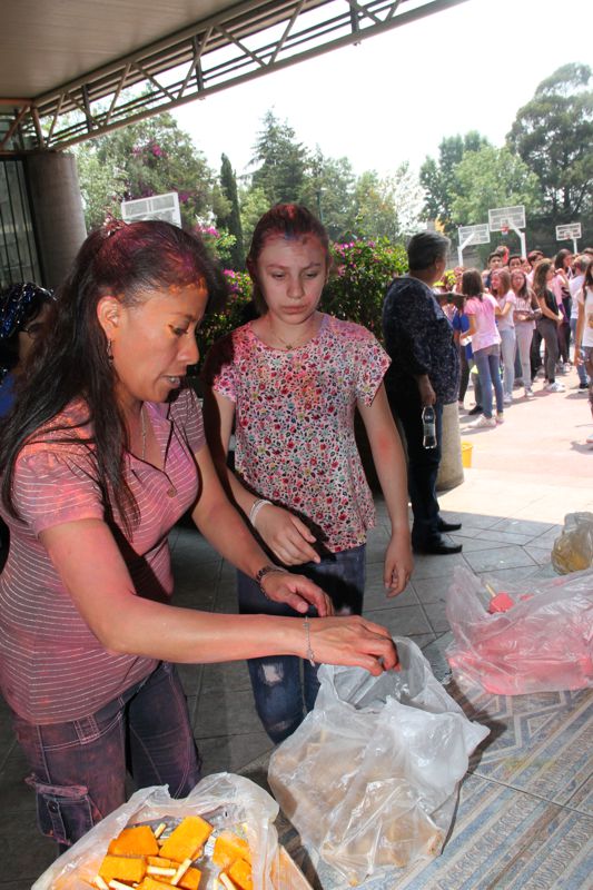 Ir a la Siguiente Foto