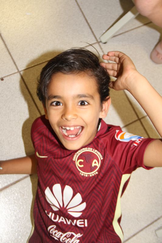 Ir a la Siguiente Foto