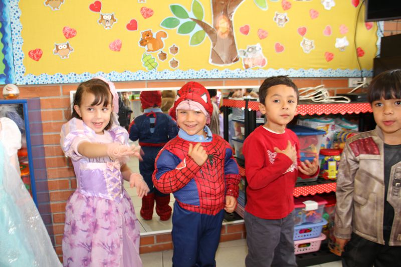 Ir a la Siguiente Foto