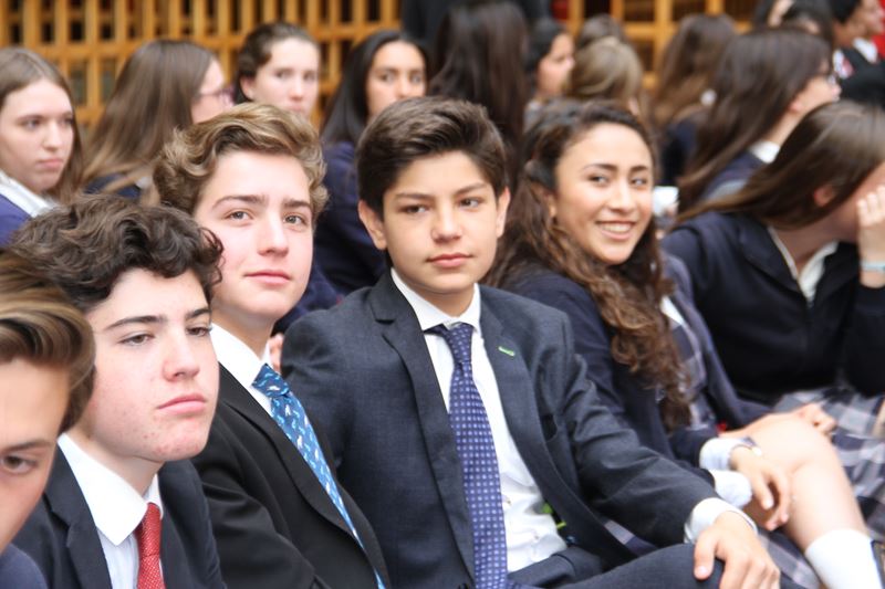 Ir a la Siguiente Foto