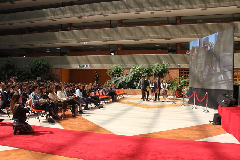 Ir a la Siguiente Foto