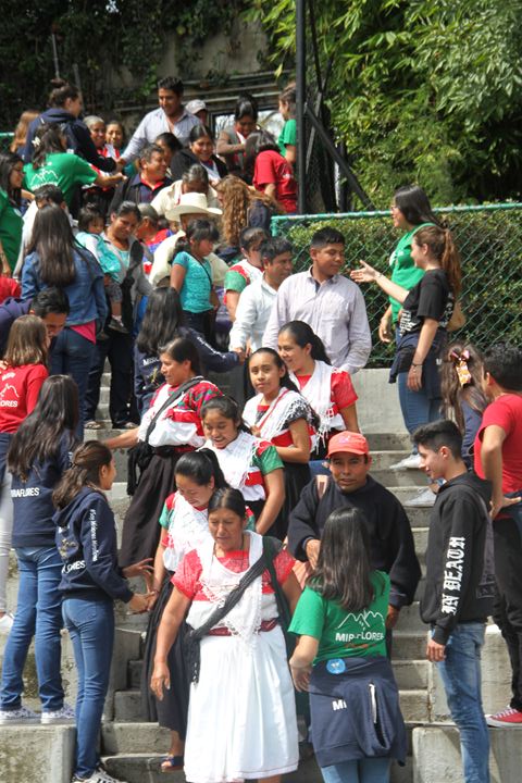 Ir a la Siguiente Foto